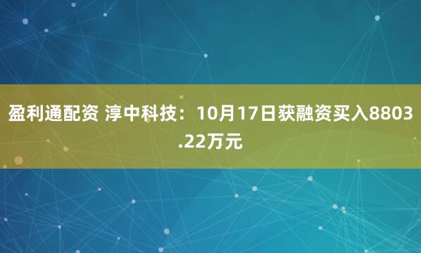 盈利通配资 淳中科技：10月17日获融资买入8803.22万元