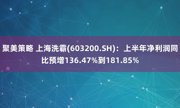 聚美策略 上海洗霸(603200.SH):上半年净利润同比预增136.47%到181.85%