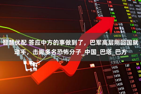 智慧优配 答应中方的事做到了,巴军高层刚回国就动手,击毙多名恐怖分子_中国_巴塔_巴方